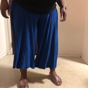 NWT Royal blue pants size 26/28 Avenue